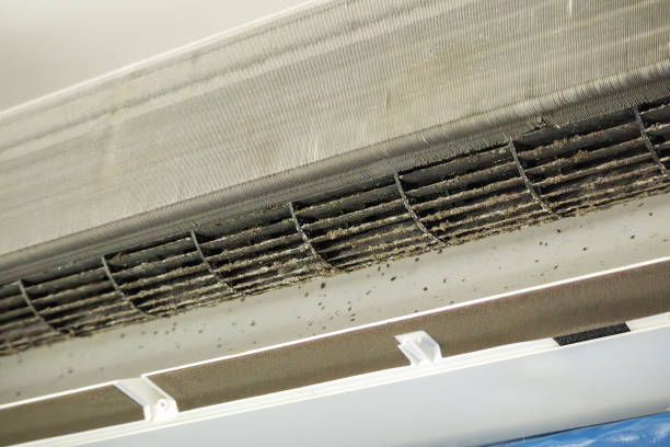 Best Residential Air Duct Cleaning in Millvale, PA